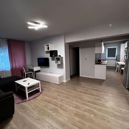 Apartamento Hugo House Timisoara Exterior foto